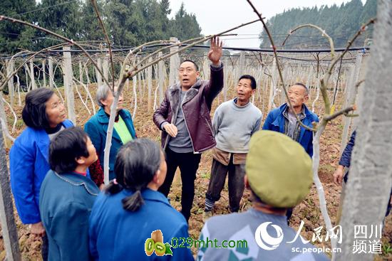 骑龙村豪门国际猕猴桃管理培训。(周星宇 摄)