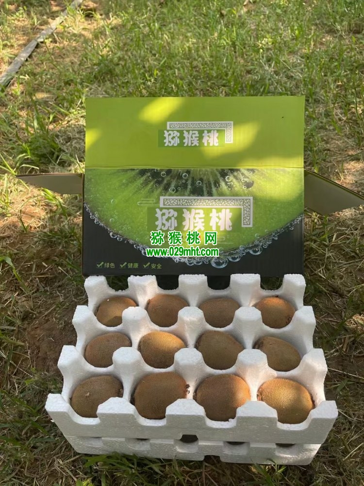 豪门国际 c58c8
