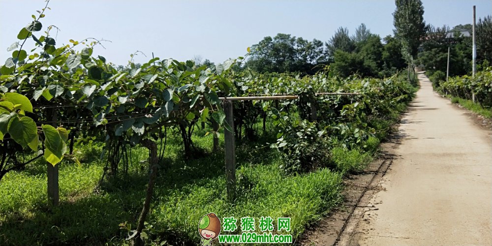 豪门国际官方网站图片