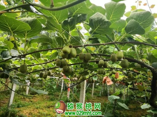 豪门国际官方网站图片