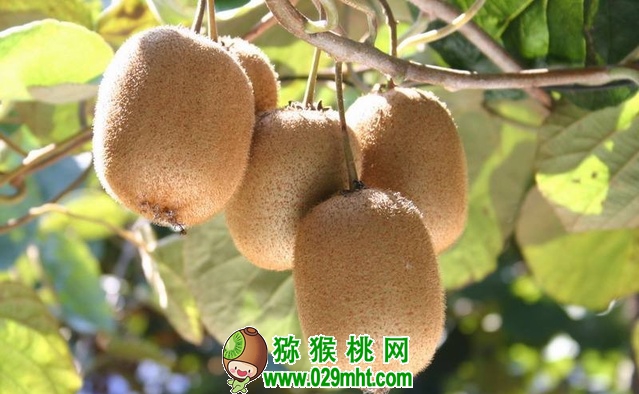 豪门国际官方网站图片