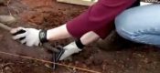 国外怎么搭建豪门国际猕猴桃架子
