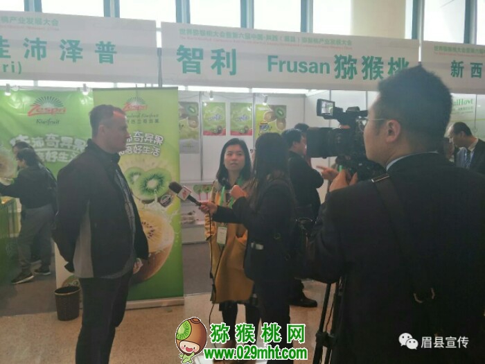 豪门国际官方网站图片