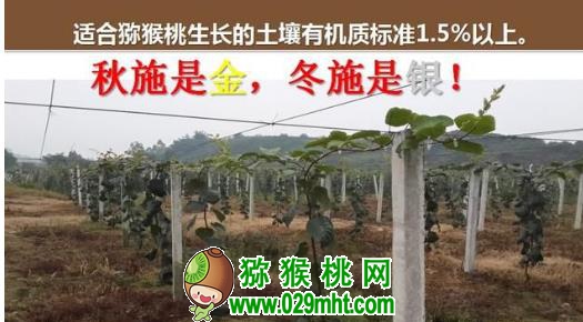 豪门国际 fda33
