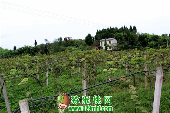 豪门国际官方网站图片
