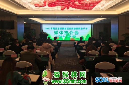 豪门国际官方网站图片