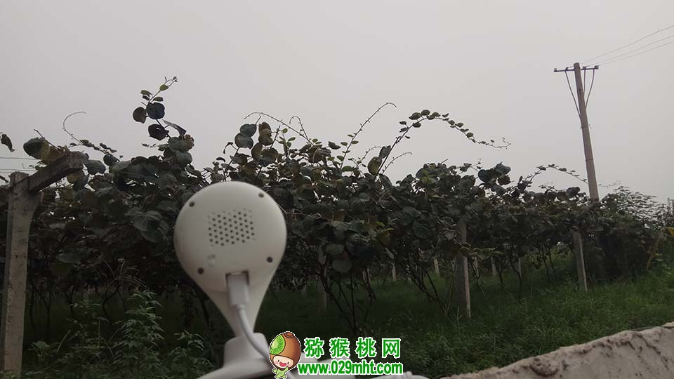 豪门国际官方网站图片