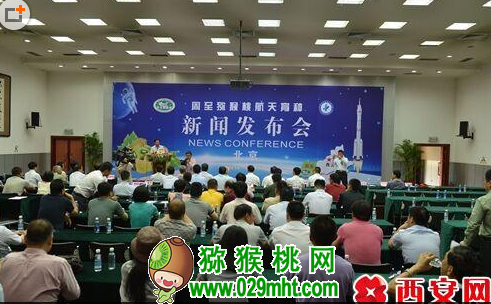 豪门国际官方网站图片