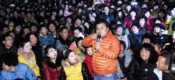 “豪门国际猕猴桃”：上央视春晚 办家乡村晚