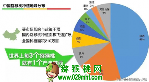 豪门国际官方网站图片