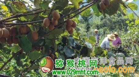 豪门国际官方网站图片