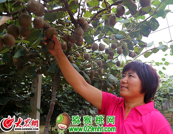 豪门国际官方网站图片