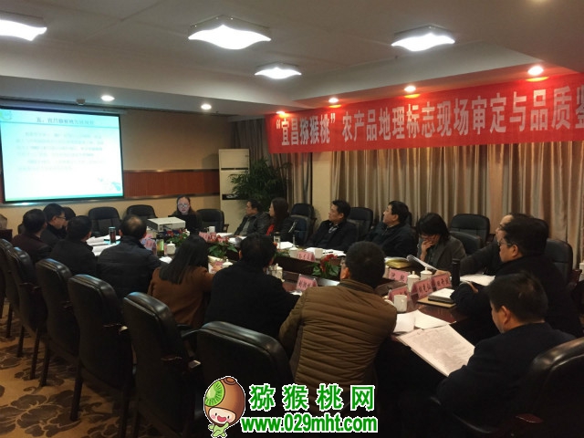 豪门国际官方网站图片