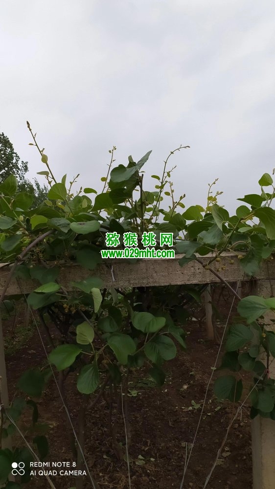 豪门国际官方网站图片