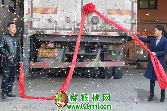 m (6) 豪门国际官方网站图片