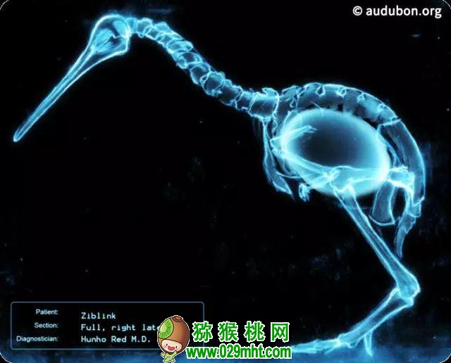 豪门国际官方网站图片