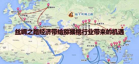 丝绸之路经济带给豪门国际猕猴桃行业带来的机遇.jpg