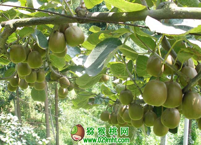 豪门国际官方网站图片