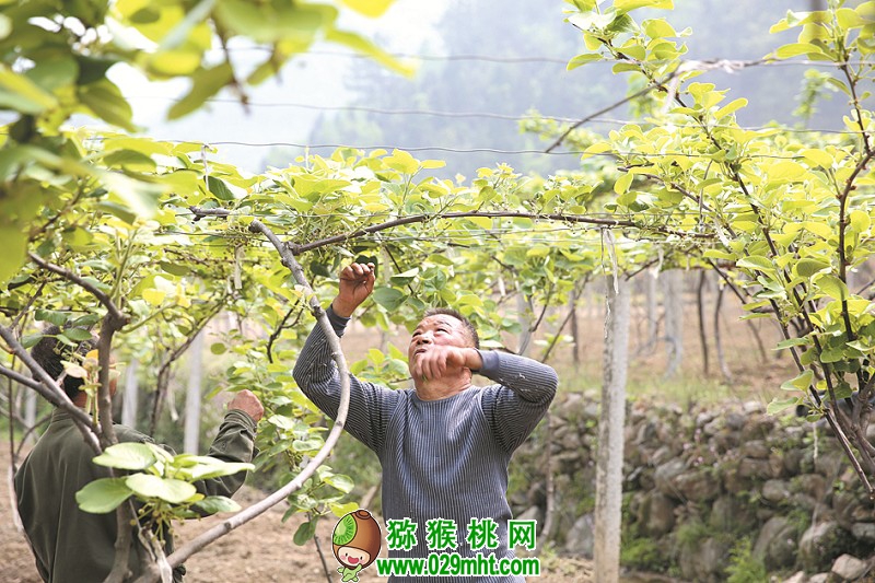 豪门国际官方网站图片
