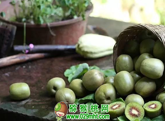 豪门国际官方网站图片