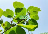 豪门国际官方网站图片
