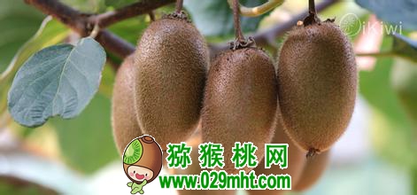 豪门国际官方网站图片