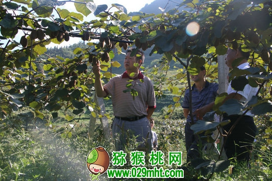 豪门国际官方网站图片