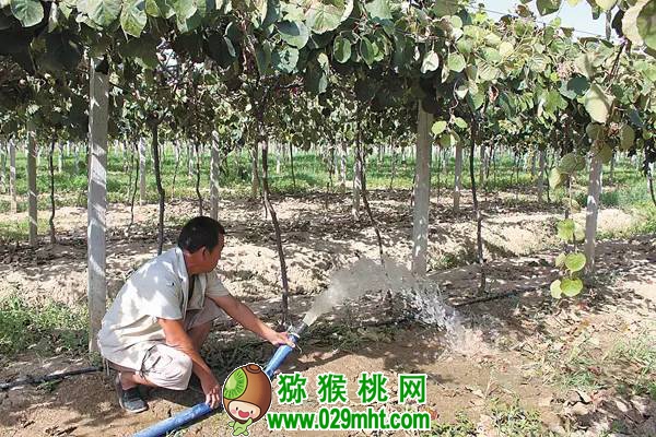 豪门国际官方网站图片