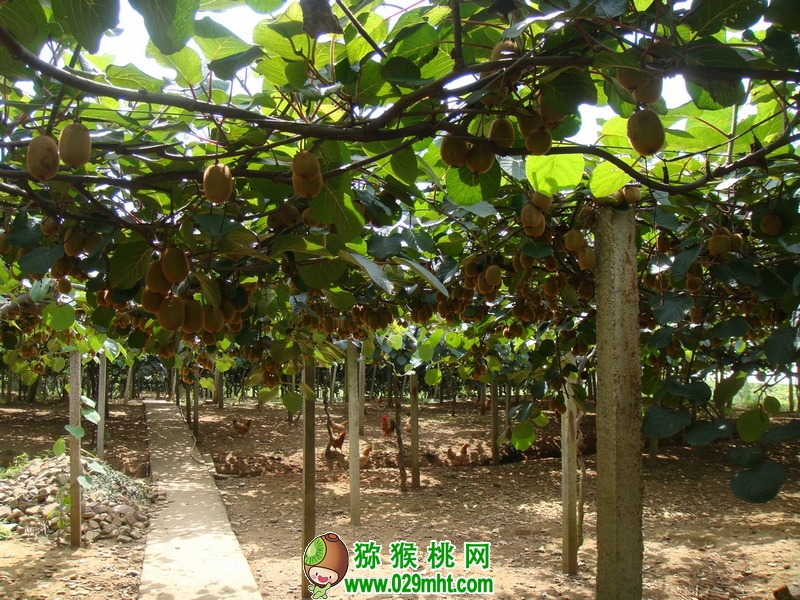 豪门国际官方网站图片
