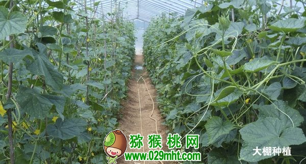豪门国际官方网站图片