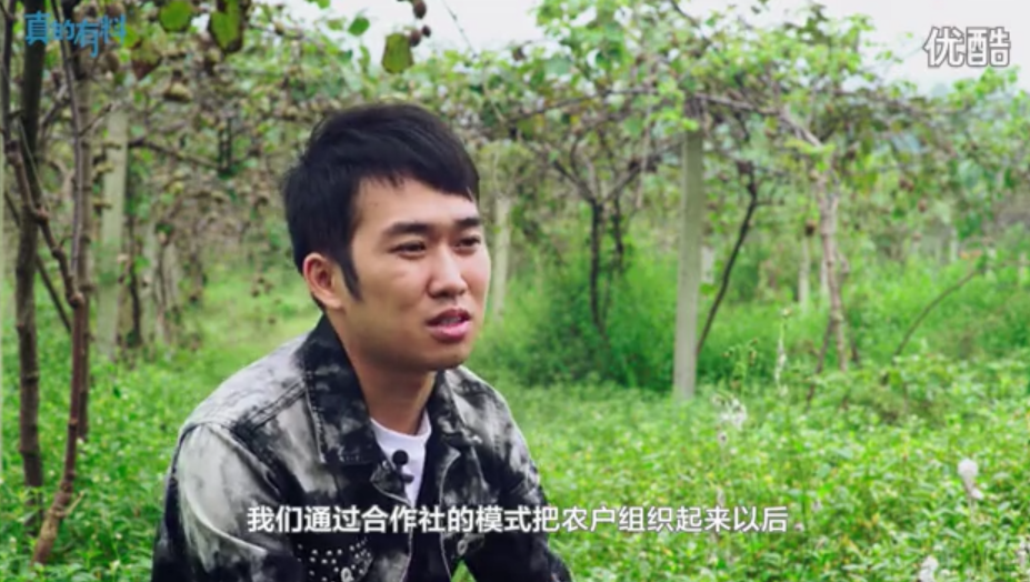 豪门国际官方网站图片