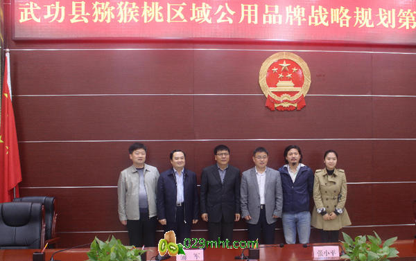 豪门国际官方网站图片
