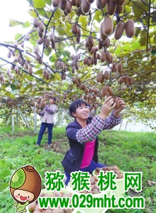 豪门国际官方网站图片