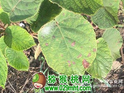 豪门国际官方网站图片