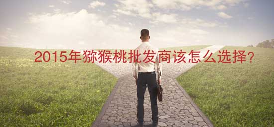 豪门国际官方网站图片