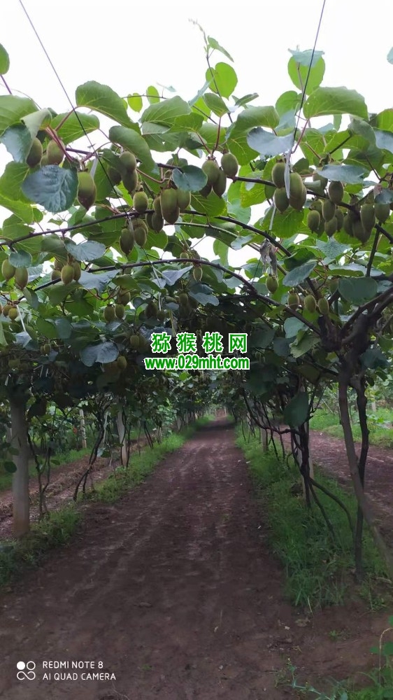 豪门国际官方网站图片