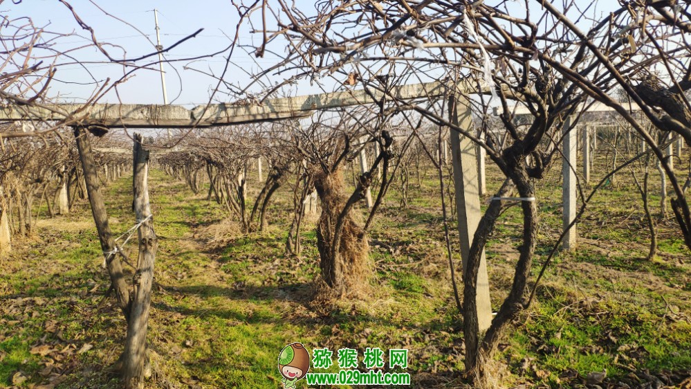 豪门国际 0af3f