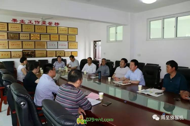 豪门国际官方网站图片