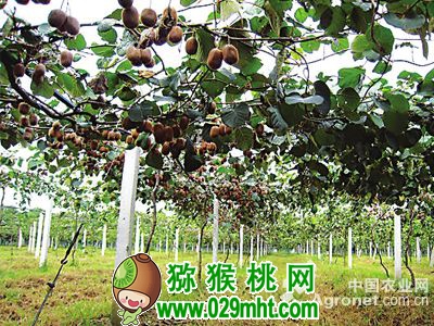 豪门国际官方网站图片