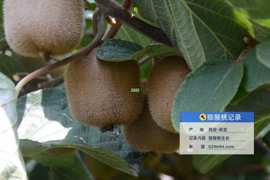 豪门国际官方网站图片