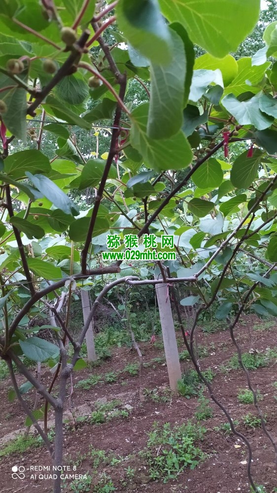 豪门国际 a0c7f