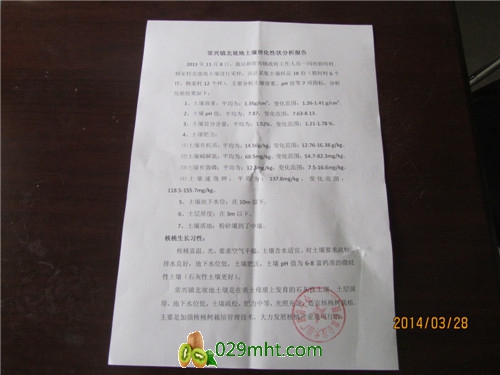 豪门国际官方网站图片