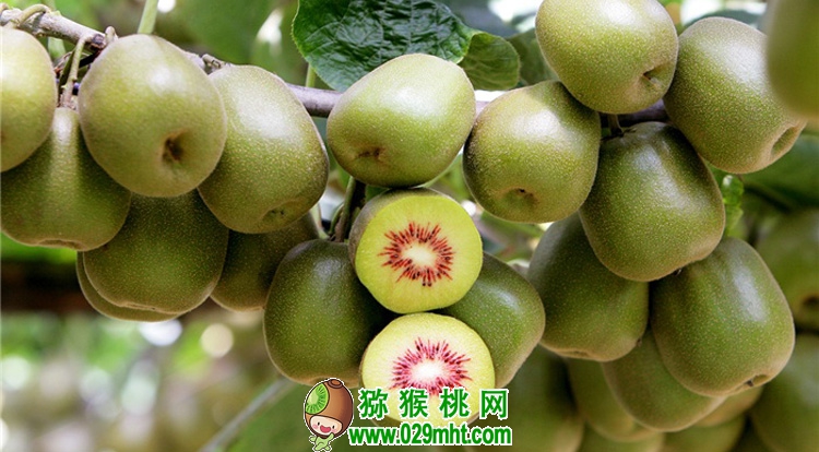 豪门国际官方网站图片