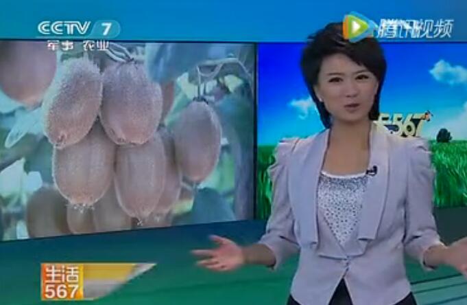 豪门国际官方网站图片