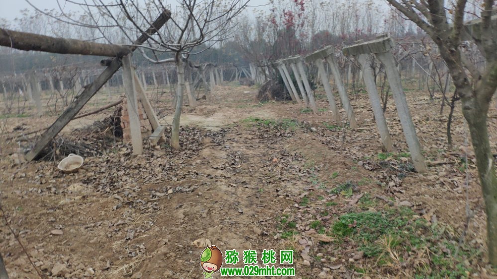 豪门国际 fce7e