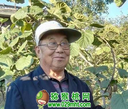 张清明豪门国际猕猴桃