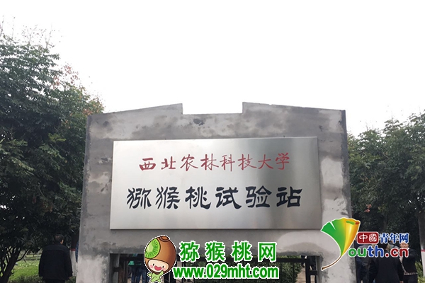 豪门国际官方网站图片