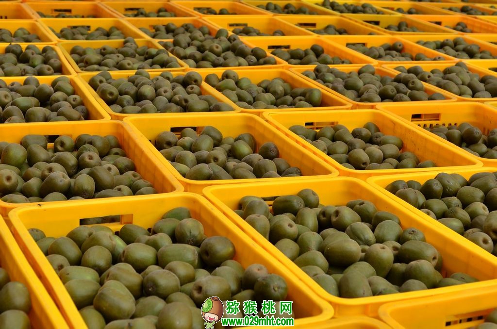 豪门国际官方网站图片
