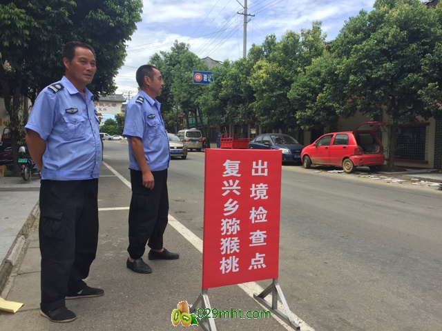 豪门国际官方网站图片