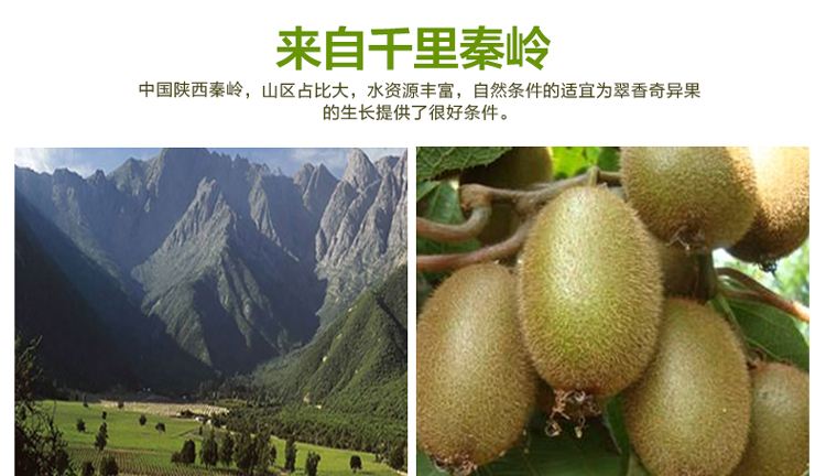 豪门国际 f0e02